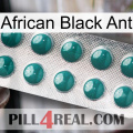 African Black Ant dapoxetine1